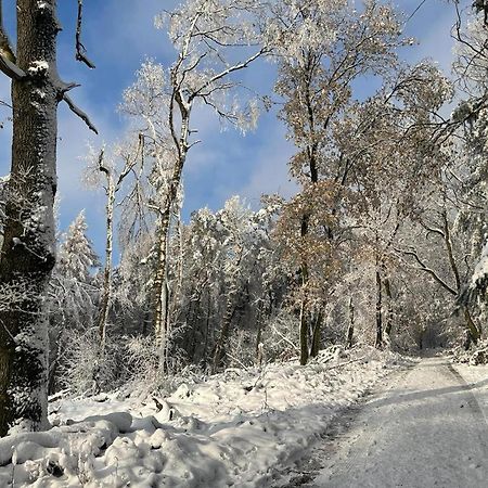 Haus Astenblick In Winterberg Fuer Bis Zu 35 Personen Fuer Wanderveranstaltungen Und Familienfeiern Bagian luar foto
