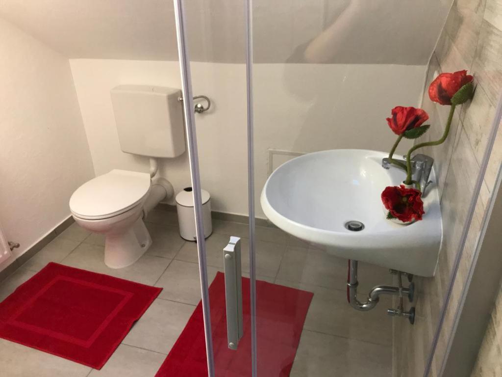 Haus Astenblick In Winterberg Fuer Bis Zu 35 Personen Fuer Wanderveranstaltungen Und Familienfeiern Bagian luar foto