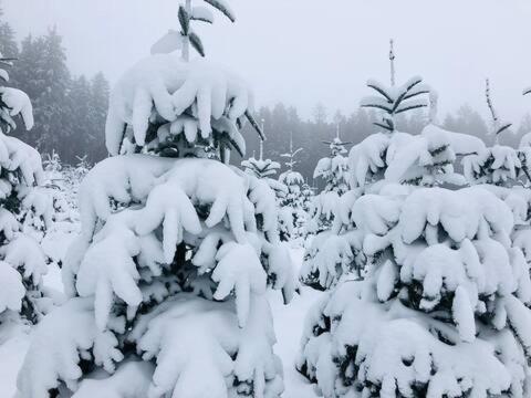 Haus Astenblick In Winterberg Fuer Bis Zu 35 Personen Fuer Wanderveranstaltungen Und Familienfeiern Bagian luar foto